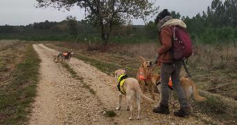 camille pet sitter à VILLEFRANCHE DU PERIGORD 24550_2