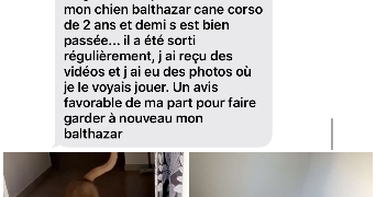 lina pet sitter à Martigues 13500_6