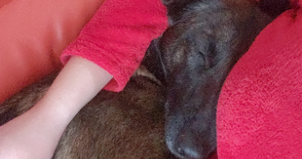 océane pet sitter à VINCEY 88450_1