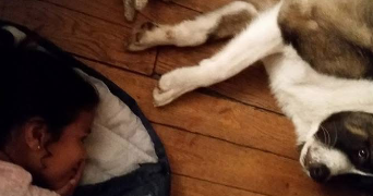 diane pet sitter à RENNES 35000_1