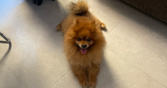manon pet sitter à NICE 06300_8