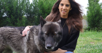 marina pet sitter à LA NEUVILLE ROY 60190_1