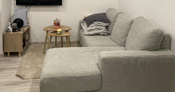 kylian pet sitter à ST GERMAIN EN LAYE 78100_2