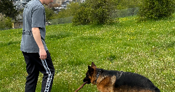 axel dog sitter à LYON 02 69002_3