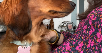 lisa pet sitter à BRETIGNOLLES SUR MER 85470_2