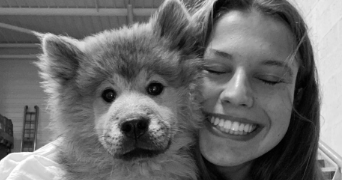 emma pet sitter à ST MEEN LE GRAND 35290_0