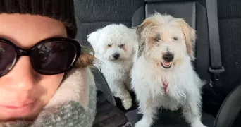 cynthia pet sitter à ST JEAN KERDANIEL 22170