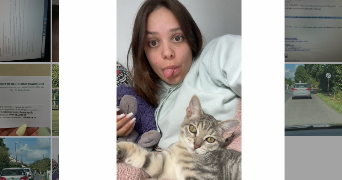 louann pet sitter à ST MARS DU DESERT 44850_0