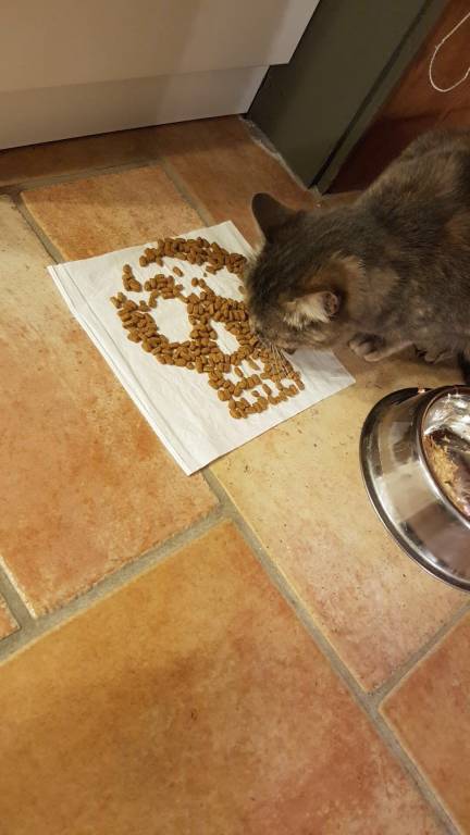 claudie pet sitter à Le Grand-Bornand 74550_4