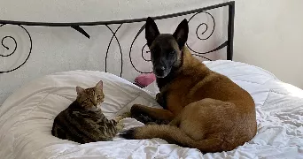 aurelie pet sitter à NICE 06000