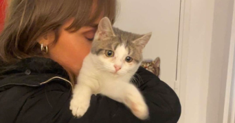 marine pet sitter à bures sur yvette 91440_1