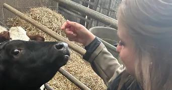 romane pet sitter à MONTLOUIS SUR LOIRE 37270