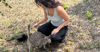 elvira pet sitter à ORMESSON SUR MARNE 94490_0