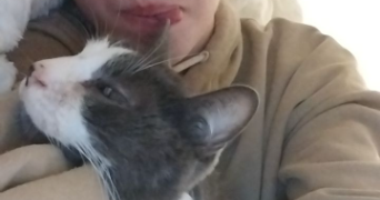 anastasia pet sitter à MONTESSON 78360_1