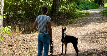 marie pet sitter à DIJON 21000_2