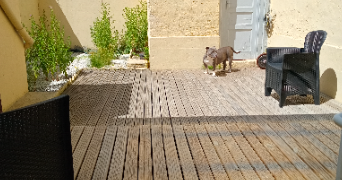 corinne pet sitter à CALAIS 62100_2