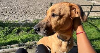 carla pet sitter à PARIS 05 75005_2