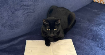 ludovic pet sitter à MARIGNIER 74970_2