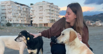 manon pet sitter à CHANTILLY 60500