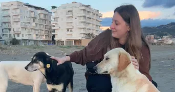 manon pet sitter à CHANTILLY 60500