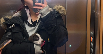 ophelie pet sitter à HERBLAY SUR SEINE 95220_0