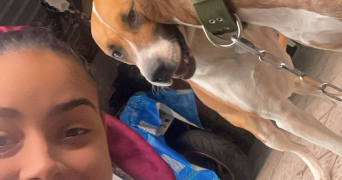 océane pet sitter à BORDEAUX 33300_1