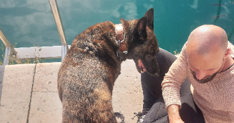 noémie pet sitter à NICE 06300_1