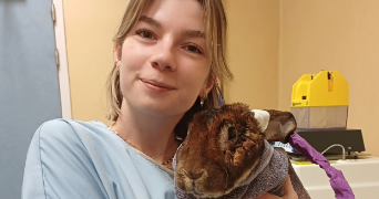 marylène pet sitter à LENTILLY 69210_0