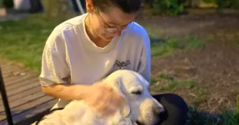mileva pet sitter à ARRAS 62000