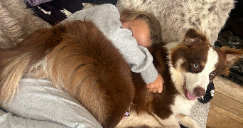 fanny pet sitter à ORGEVAL 78630_4