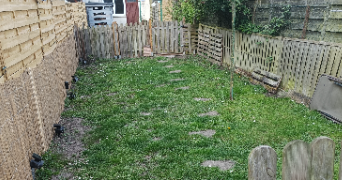 stéphanie pet sitter à DEULEMONT 59890_4