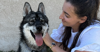 manon pet sitter à ST AVERTIN 37550_2