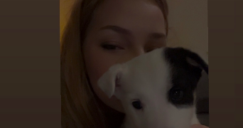 laura pet sitter à GAHARD 35490_0