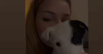 laura pet sitter à GAHARD 35490