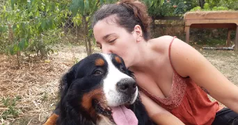 romane pet sitter à DIGNAC 16410