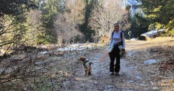 alexia pet sitter à WISSOUS 91320_6