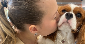 léonie pet sitter à VILLERS ECALLES 76360_0