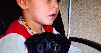 mathis pet sitter à IZON 33450_0