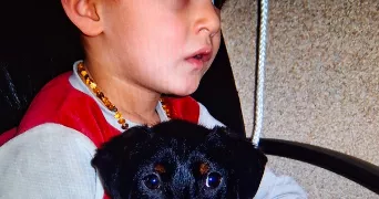 mathis pet sitter à IZON 33450
