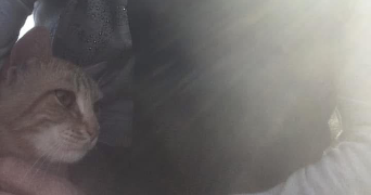 marielle pet sitter à TOULOUSE 31200_9