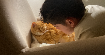 laura et pet sitter à Blagnac 31700_5