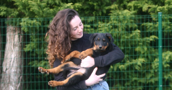 elsa pet sitter à ENNERY 95300_1