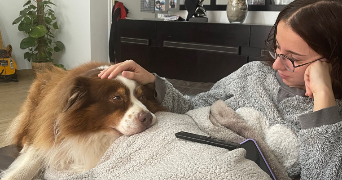 shana pet sitter à BRIE COMTE ROBERT 77170_5