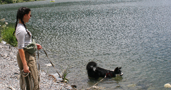 pauline pet sitter à GRAULHET 81300_2
