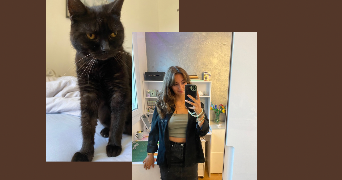 romane pet sitter à MARLY LA VILLE 95670_0