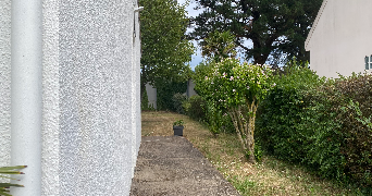 marine pet sitter à ST BREVIN LES PINS 44250_6