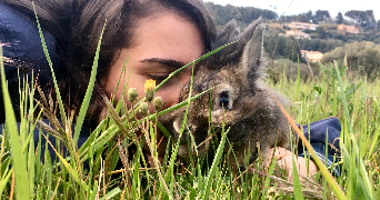 clémentine pet sitter à BANDOL 83150_6