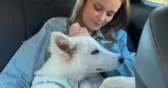 solen pet sitter à COMPIEGNE 60200