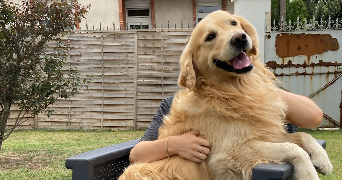 lou pet sitter à Orleans 45000_4