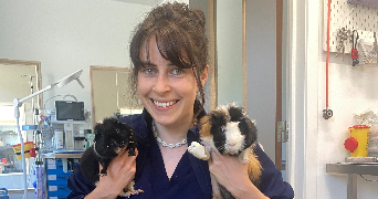 aziliz pet sitter à LYON 03 69003_0